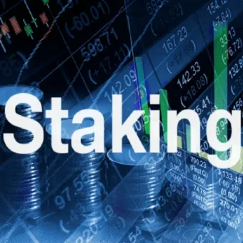 Toncoin staking ilə nə qədər qazanc əldə etmək olar?